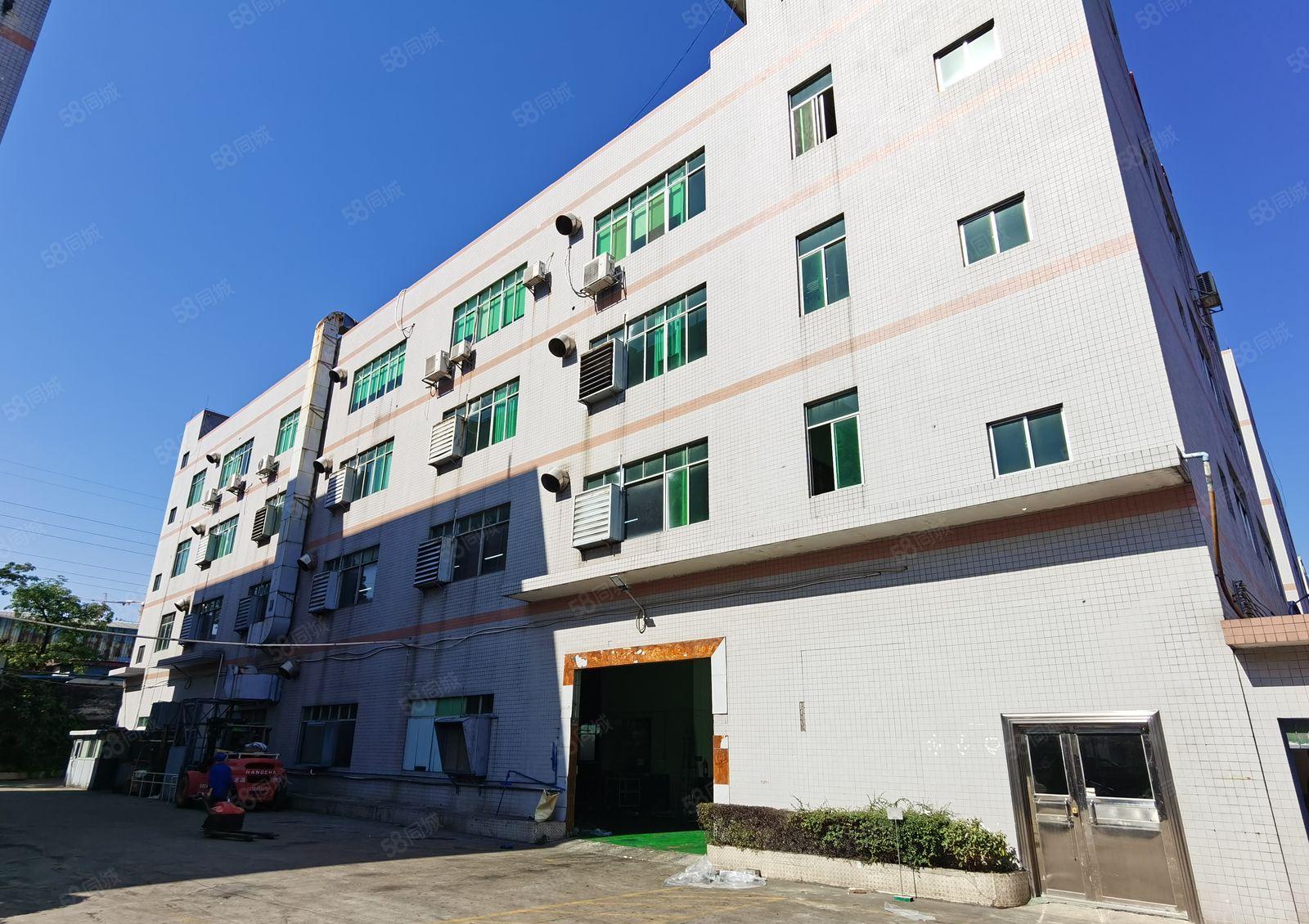 横沥镇独院标准厂房出租一楼2000平方可分租现成装修价格优惠