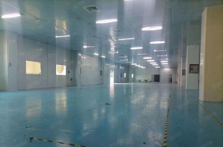 8元价格可谈原房东横沥桥头1000平方精装修厂房出租可分租