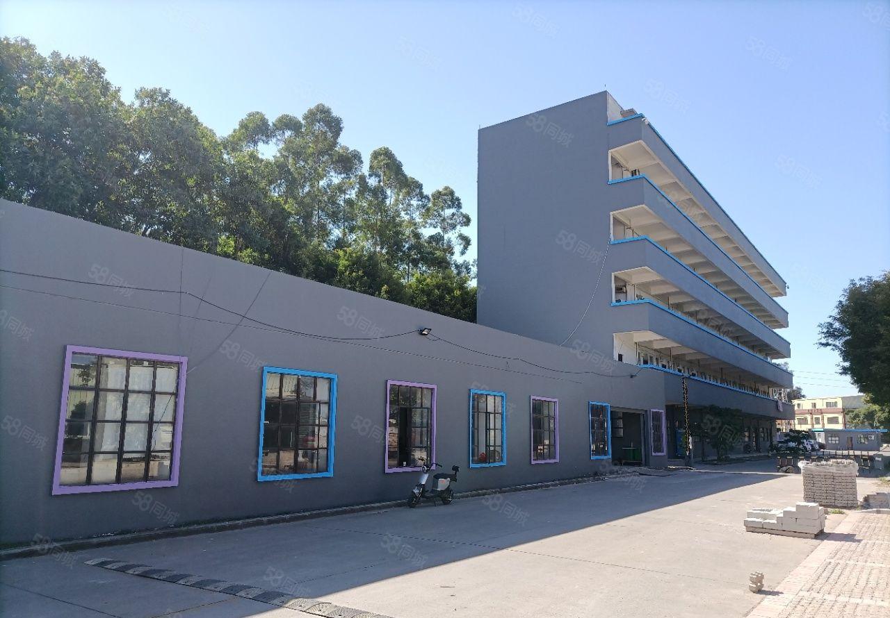 横沥镇原房东单一层2800平滴水9米拖头可倒入车间现成办公室