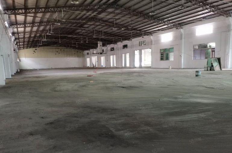 横沥镇单一层厂房出租1000平方水电齐全，200平起分