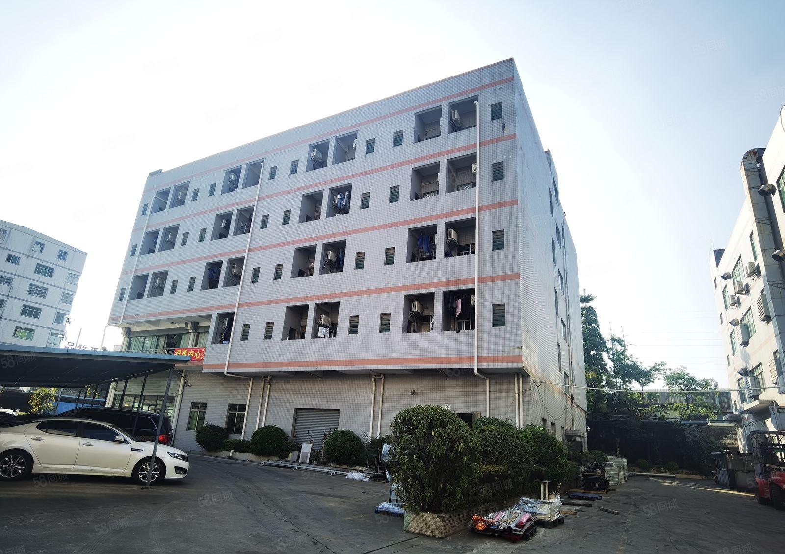 横沥镇独院标准厂房出租一楼2000平方可分租现成装修价格优惠