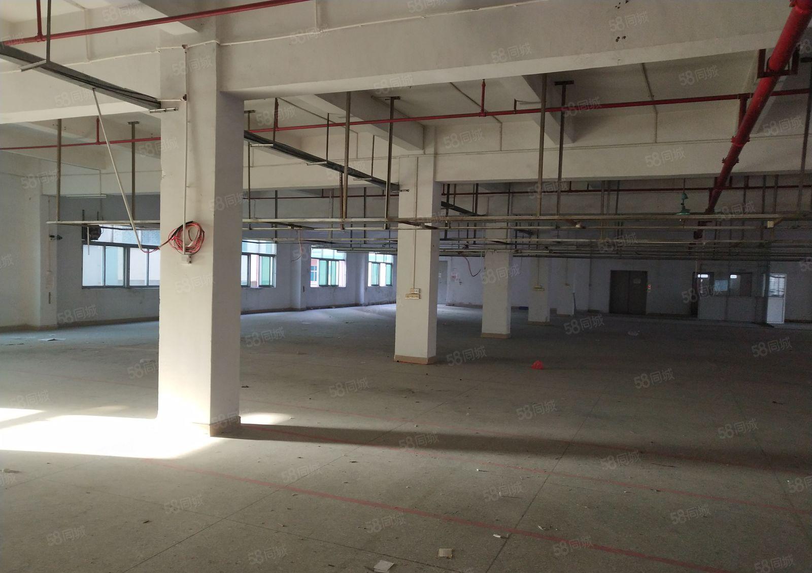 低价厂房出租2000平现成喷油环评大小可分