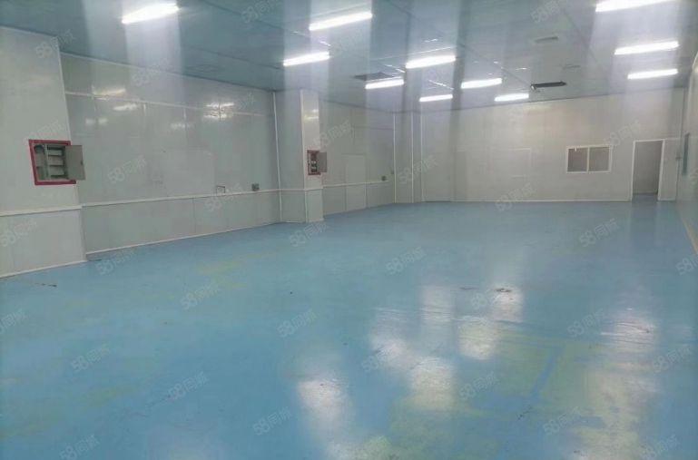 8元价格可谈原房东横沥桥头1000平方精装修厂房出租可分租