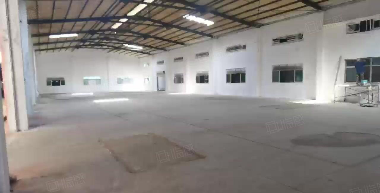 横沥新出原房东单一层500到3000平方中间无柱子