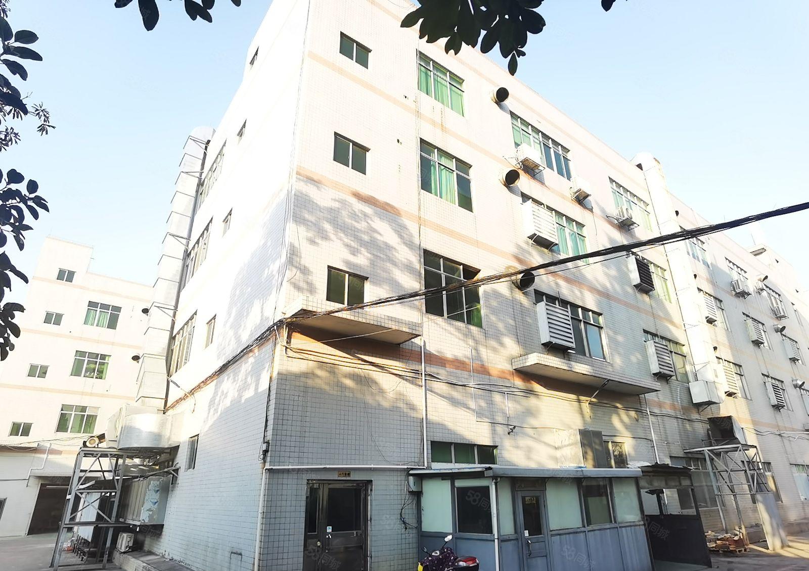 横沥镇独院标准厂房出租一楼2000平方可分租现成装修价格优惠