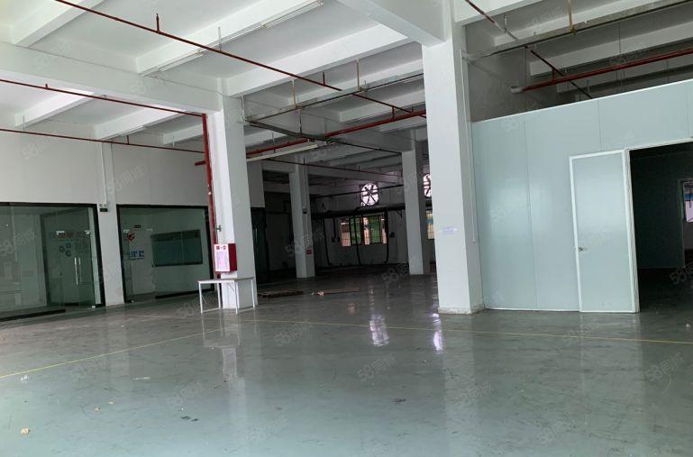 横沥镇原房东标准一楼5,5米高1000平厂房出租，有现成环评