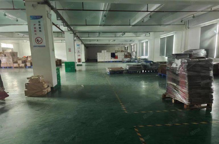 东莞横沥新出独院标准厂房三层4200平方工业厂房出租可分租