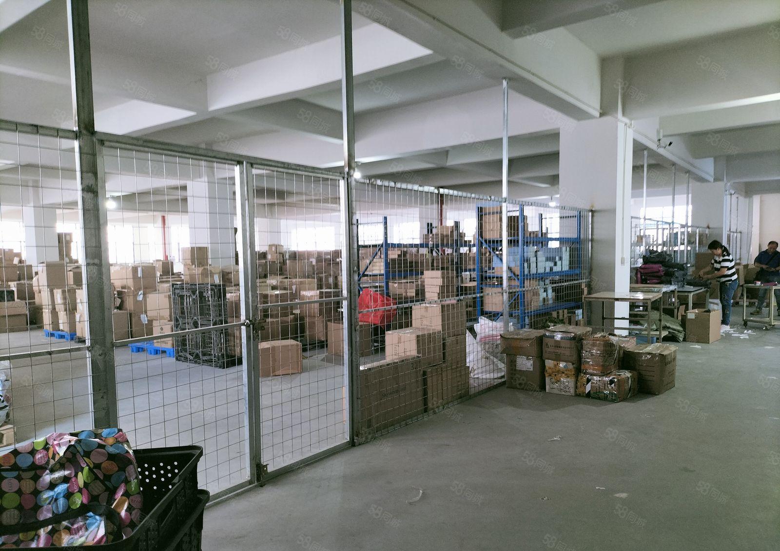 横沥镇独院标准厂房楼上一千平方精装修出租