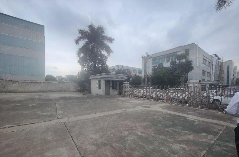 横沥镇原房东实际面积厂房出租6000平方空地钢构免费使用