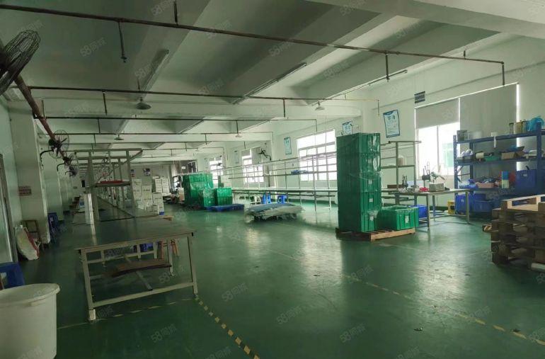 东莞横沥新出独院标准厂房三层4200平方工业厂房出租可分租