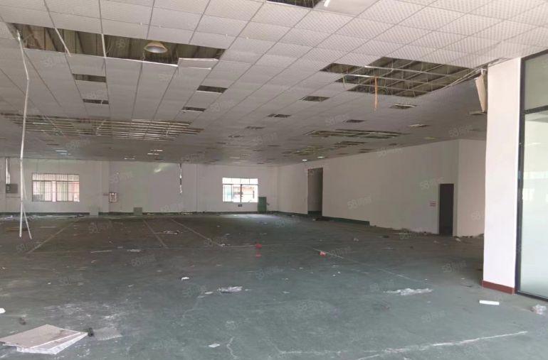 横沥镇东部快线边上新出砖墙到顶单一层独院厂房出租