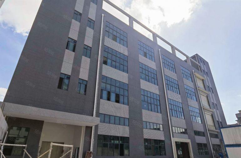 横沥7096平原房东国有双证红本全新重工业标准独院厂房出租