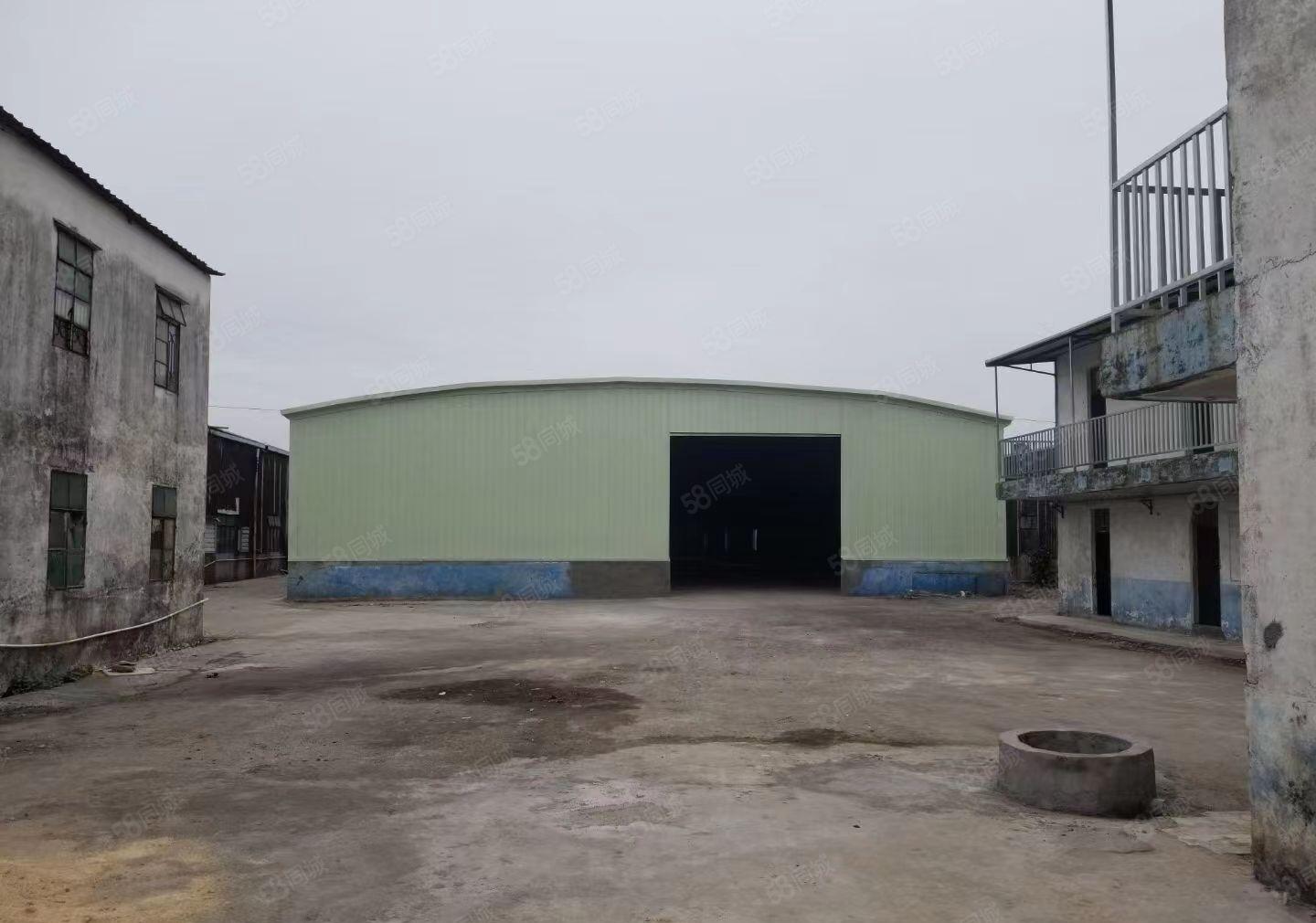 原房东独门独院单一层7米高度出租污染行业2300平电自交