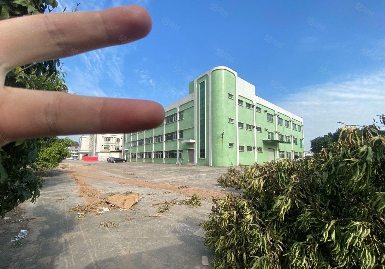 横沥新出漂亮标准厂房出租，可分租空地大。适合小加工电子仓库