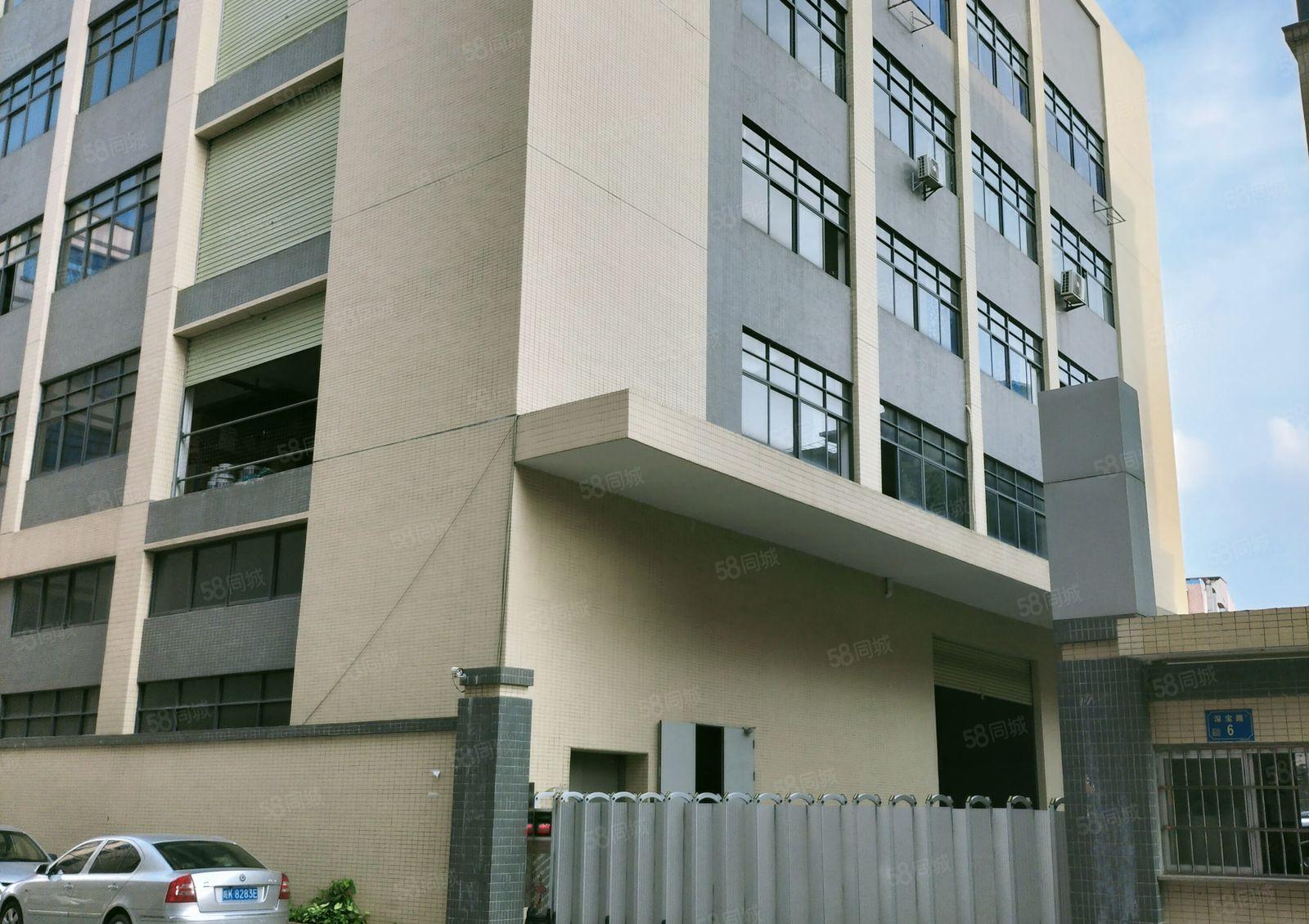 横沥镇独院标准厂房楼上一千平方精装修出租