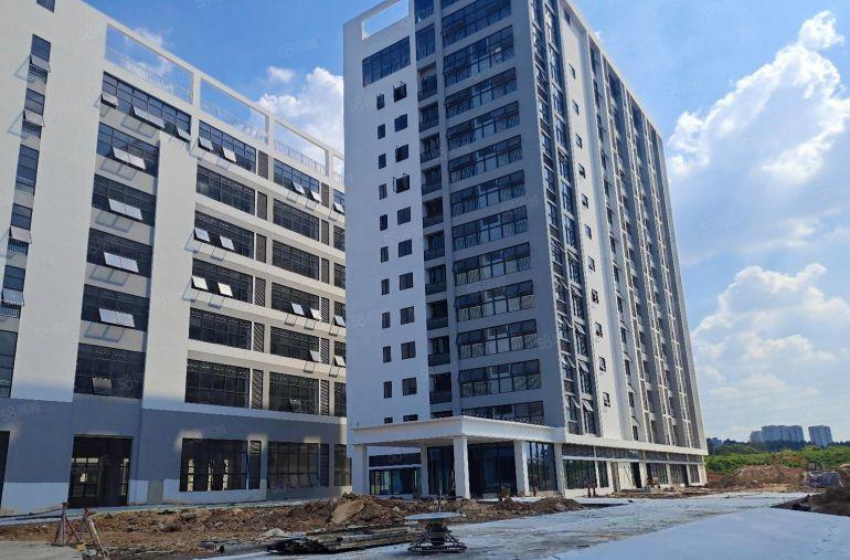 东莞横沥田头全新红本厂房低价出租