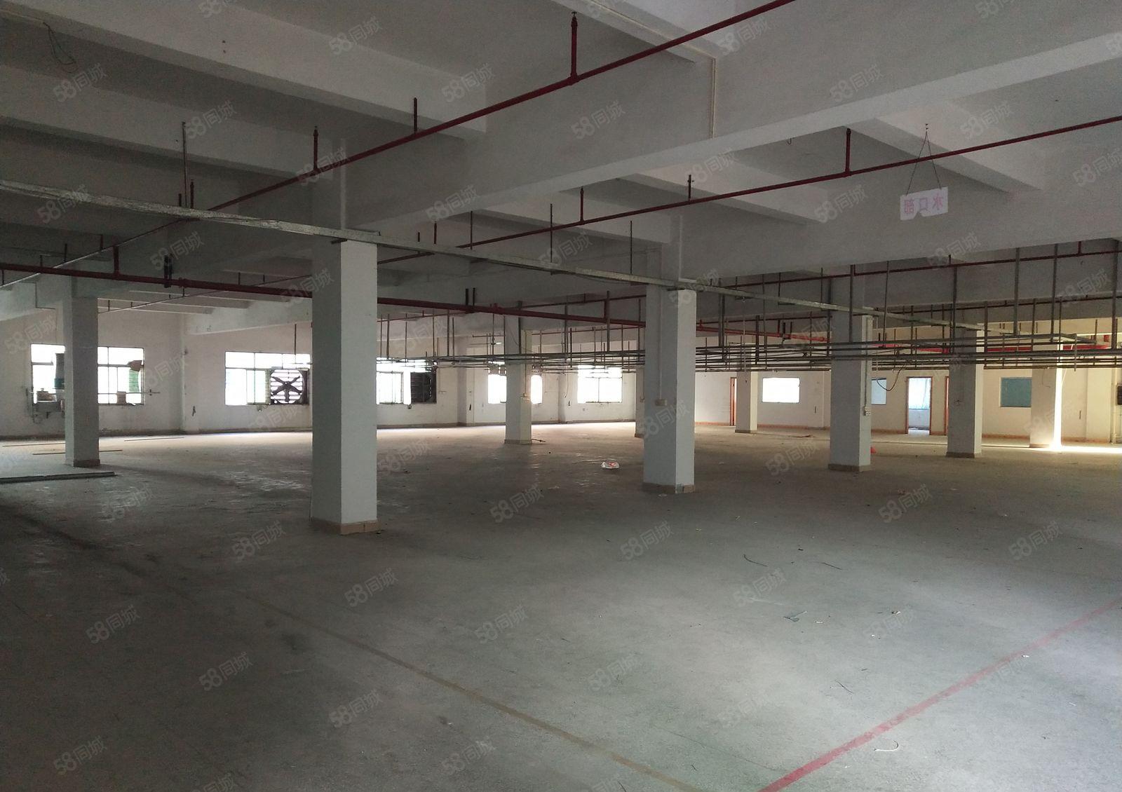 低价厂房出租2000平现成喷油环评大小可分