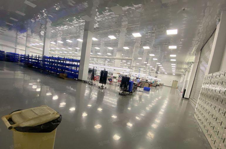 独院厂房出租  原房东  现成装修  适合电子模切新能源组装