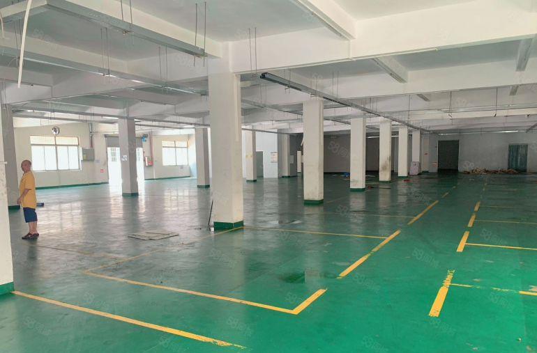 横沥镇石涌工业区独院厂房分租带地坪漆一楼厂房