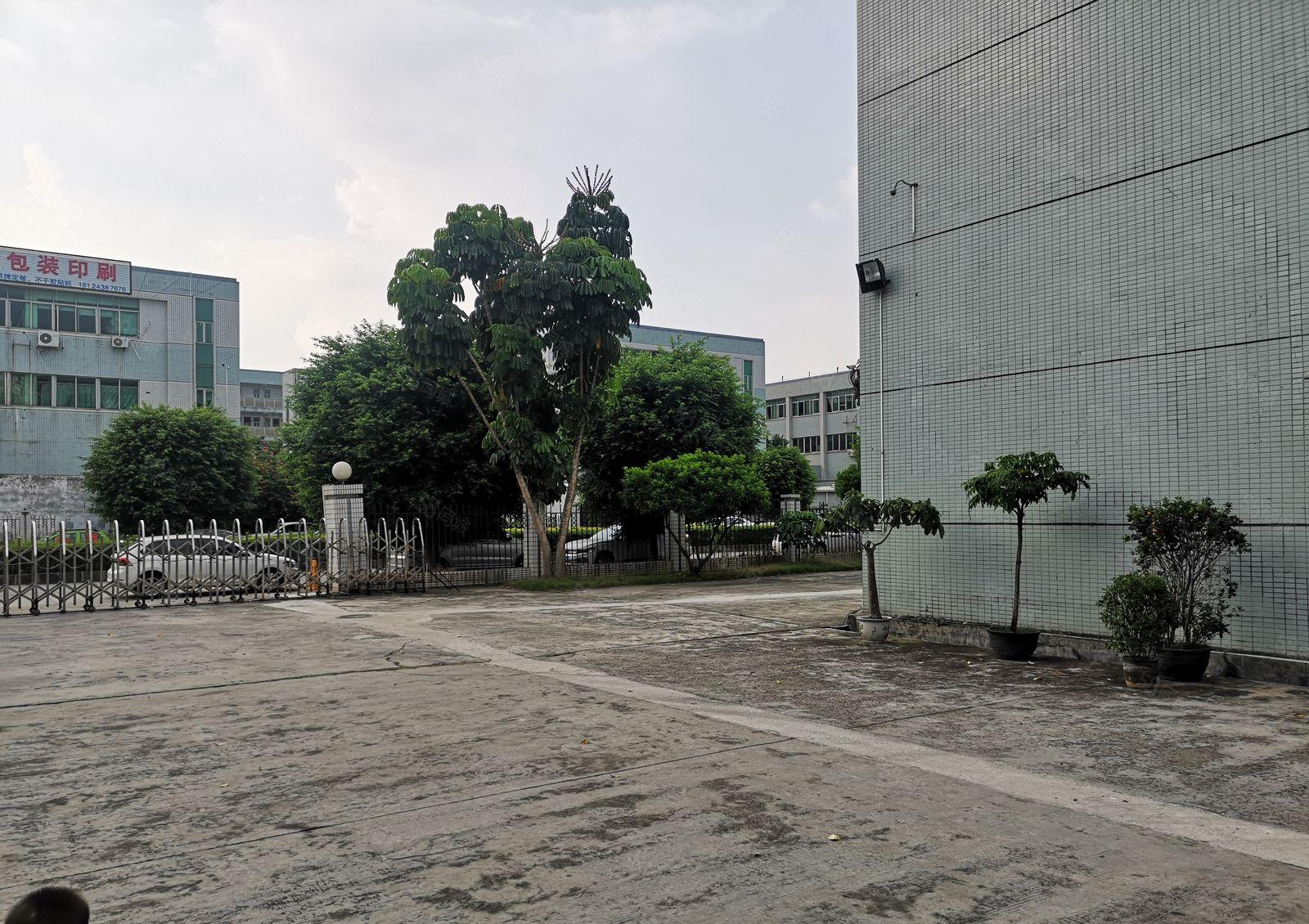 横沥新出原房东一楼带牛角1400平方水电齐全主线到位