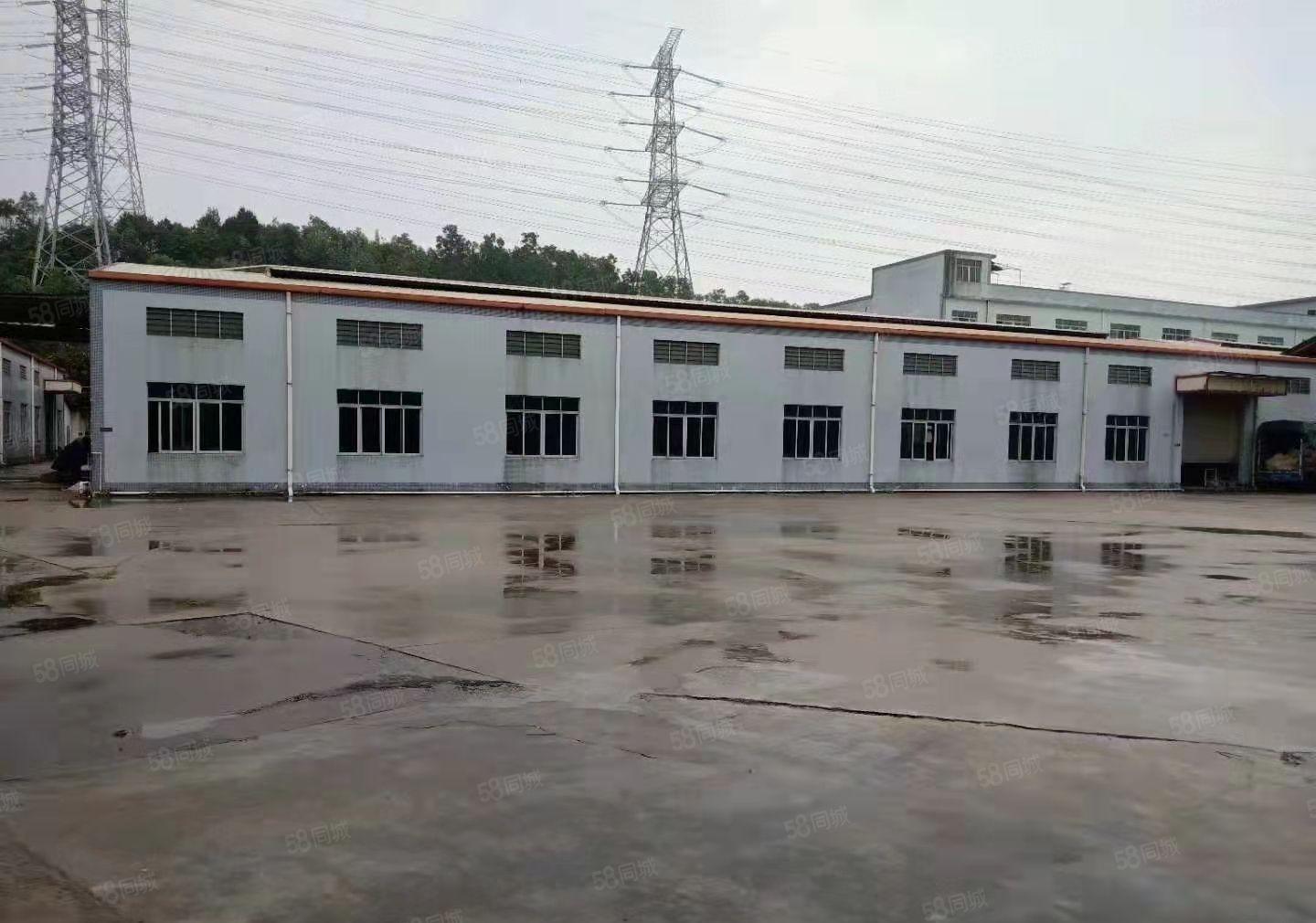 东莞横沥水边工业园区新出砖墙到顶单一层便宜出租！