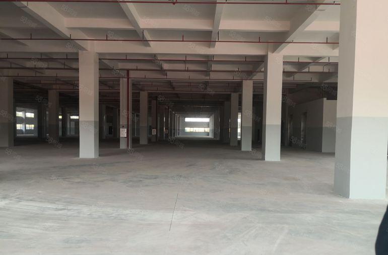 免租期一年全新原房东红本独院厂房7万平空地超大可办环评可分租