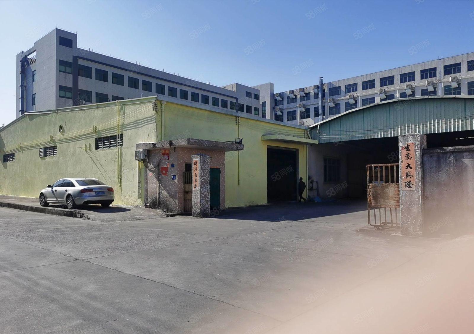 横沥镇单一层厂房出租800平方水电齐全，200平起分