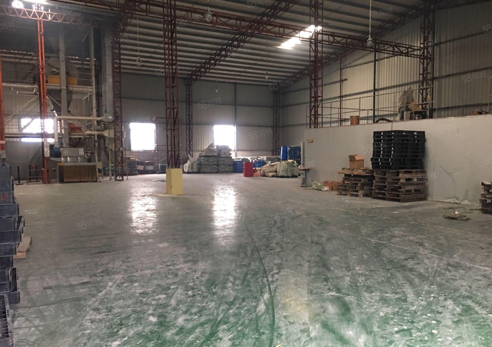 横沥镇新出钢结构厂房2000平方带办公室宿舍空地800