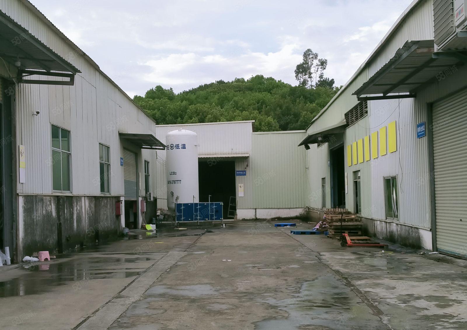 横沥镇东部快速路旁独院单一层出租，层高八米，可办环评，可分租