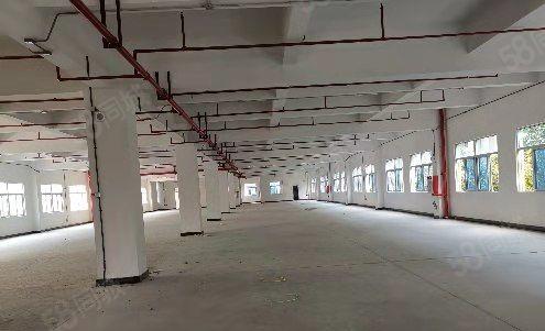 A栋厂房分租 一楼加铁皮1850平方米，报23元每平方米