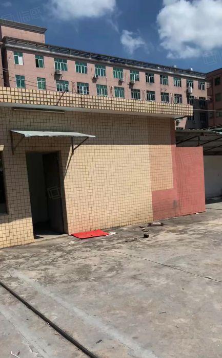 横沥镇东部快线边上新出砖墙到顶单一层独院厂房出租