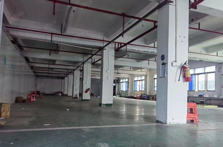 横沥镇工业聚集区内一手房东独院厂房低价出租