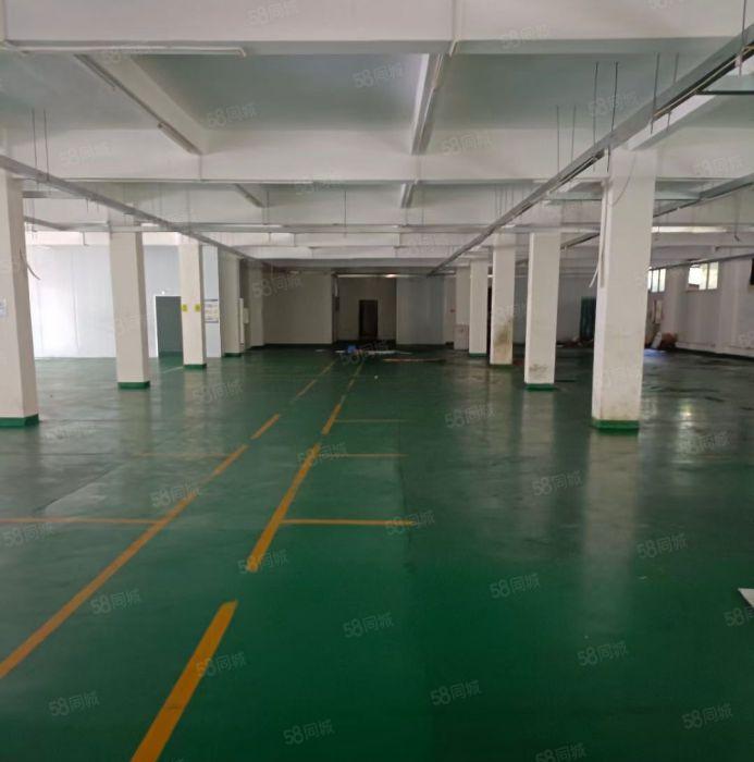 横沥镇石涌工业区厂房出租
