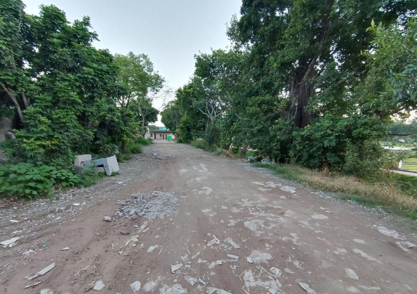 横沥新出原房东单层独院1250平方，空地大，适合做特殊行业