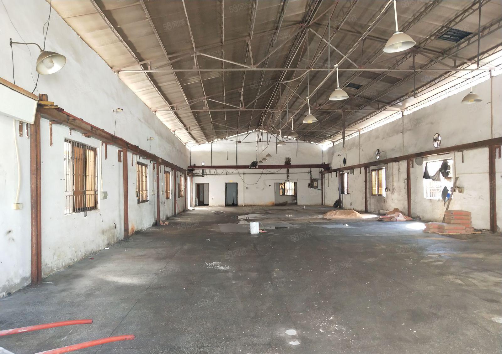 横沥镇650平单一层钢构厂房出租带航车免费使用空地大宿舍按需