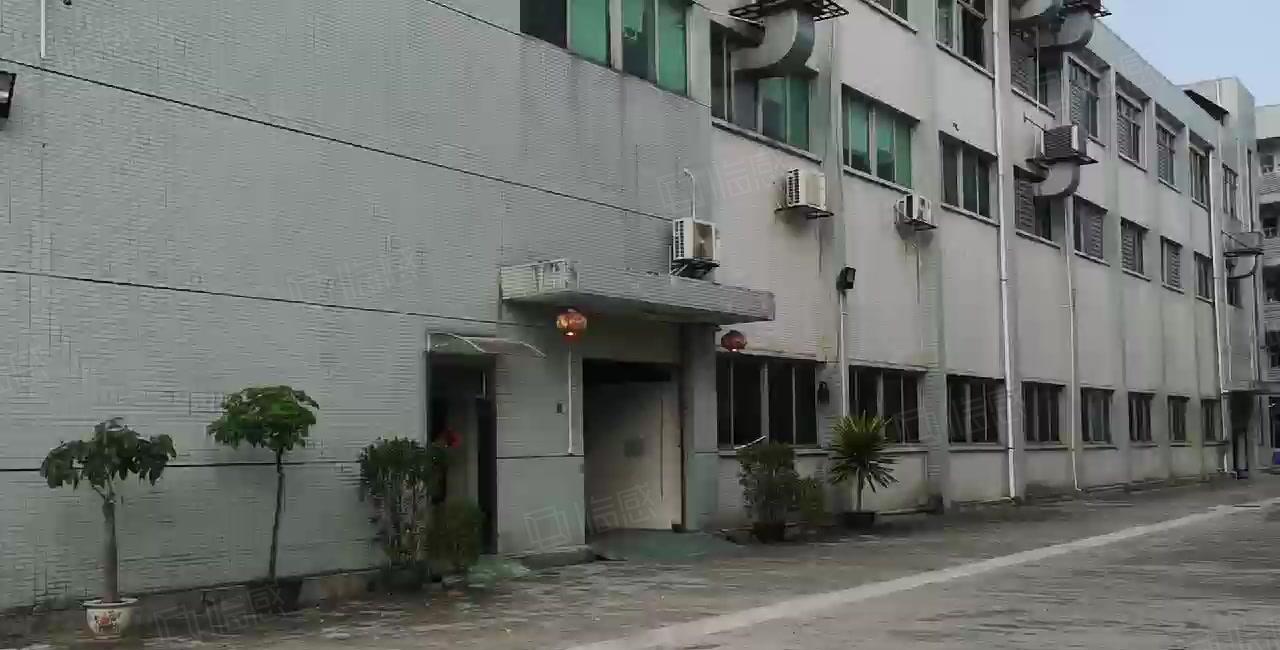 横沥新出原房东一楼带牛角1400平方水电齐全主线到位