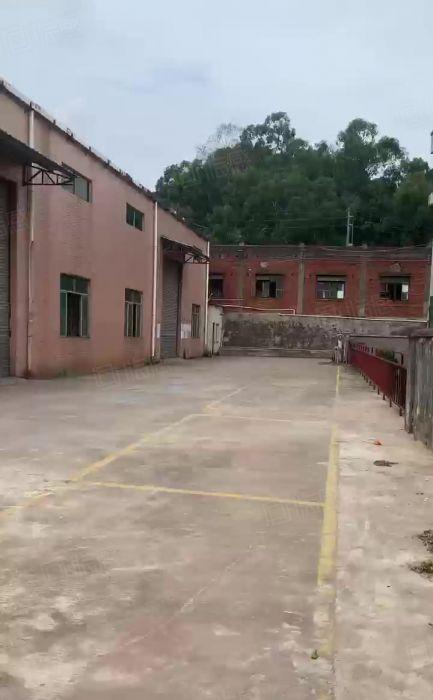 横沥镇新出原房东独院钢构1400平低价出租，宿舍办公室600