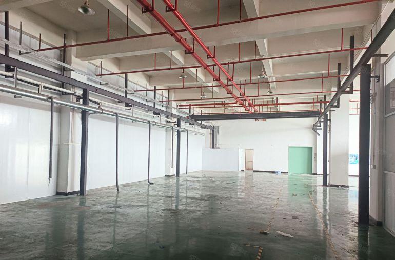 横沥镇标准一楼现成行车注塑环评地坪漆办公室水电齐全好招工