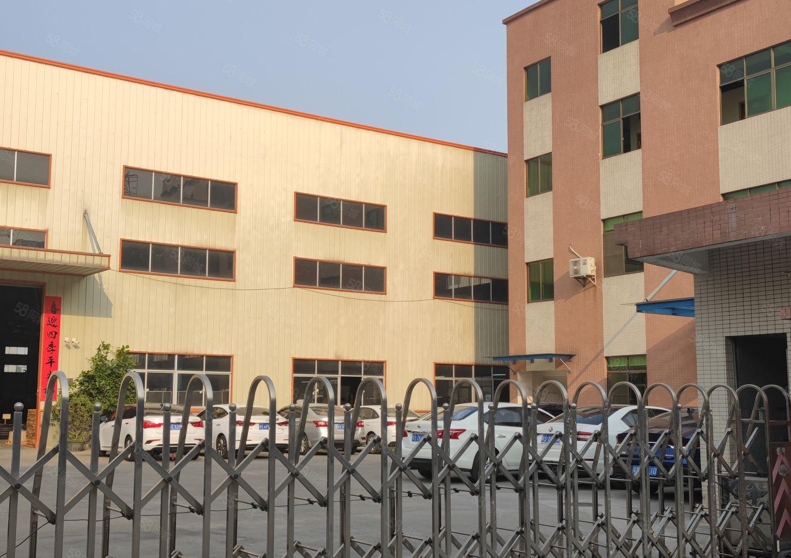 横沥镇三江工业区原房东独门独院五千平方钢结构单一层12米低价