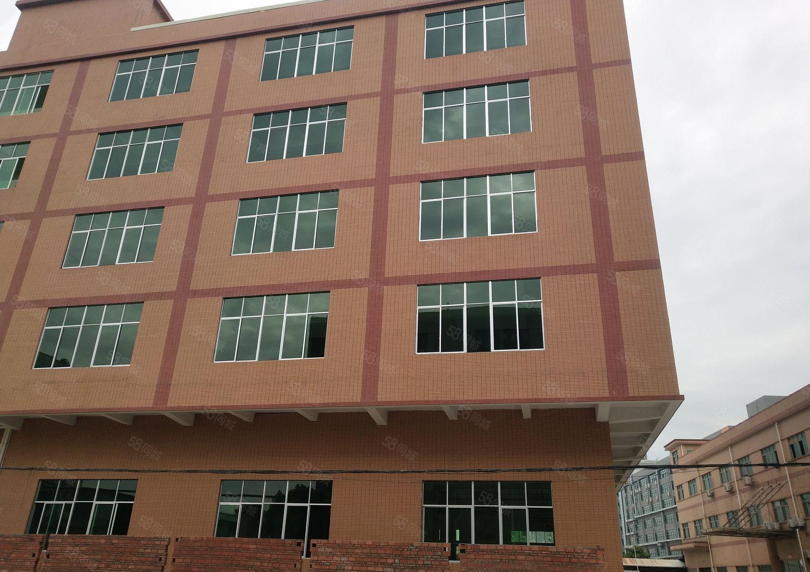 横沥镇新出全新厂房13000平一楼6.8米大小可分消防喷淋