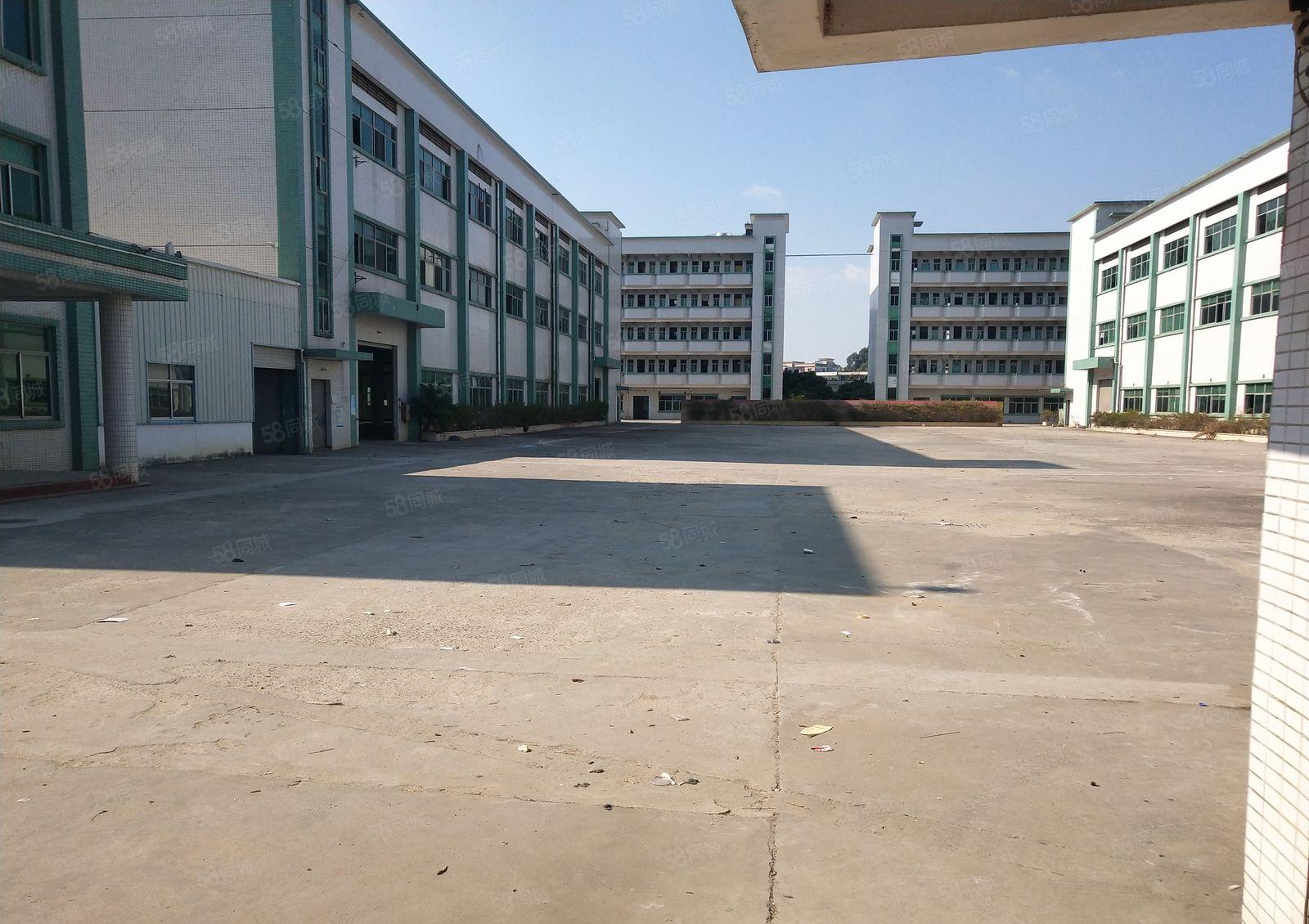 横沥镇独院标准厂房形象佳好办环评村委厂房20000平实际面积