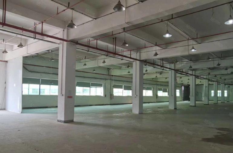 东莞横沥新出独院标准厂房分租一楼2550平方工业厂房出租