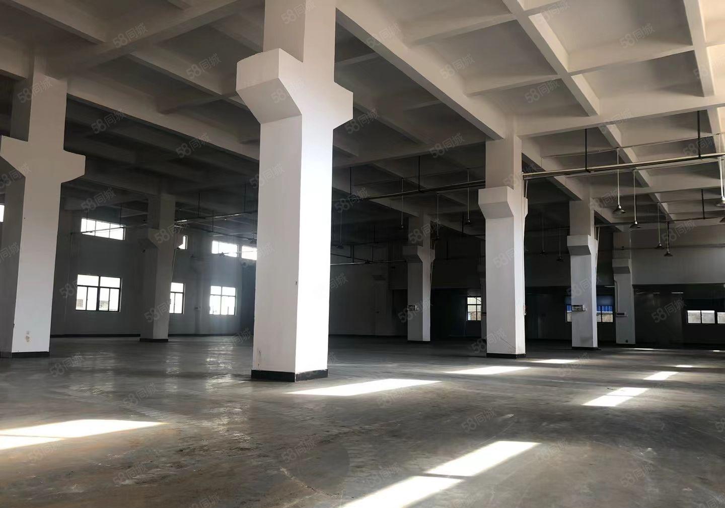 10元起原房东红本全新厂房1万平无公摊橫沥企石一楼仓库出租