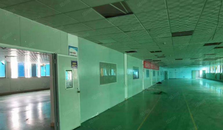 横沥镇三江工业区一手房东独院厂房出租