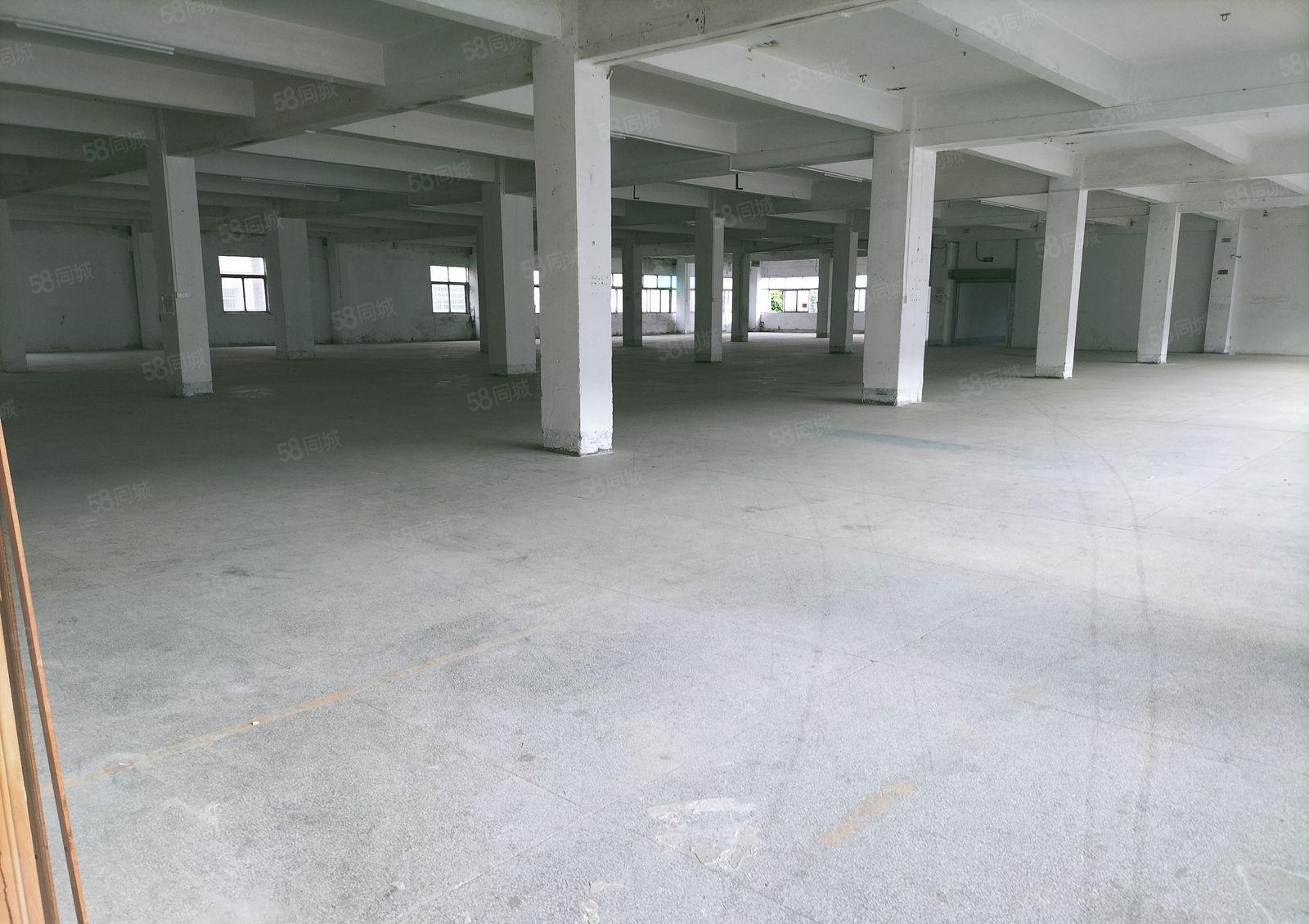 横沥镇独院标准厂房楼上一千平方精装修出租