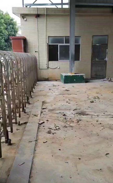 横沥镇三江工业区独院单一层砖墙到顶滴水9米钢构厂房低价招租