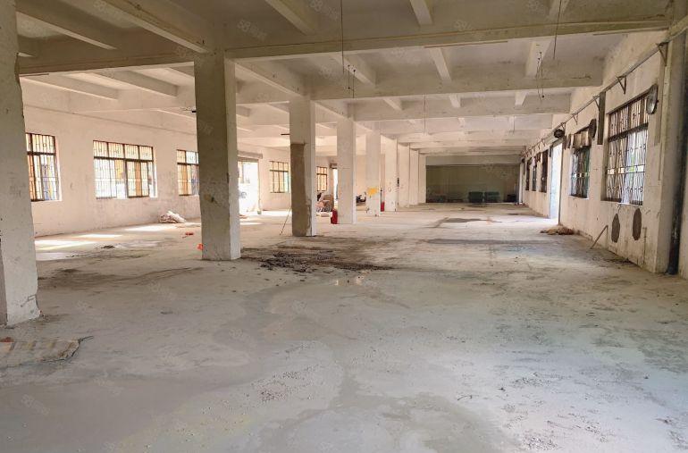 横沥镇工业区内独院标准厂房仓库低价出租