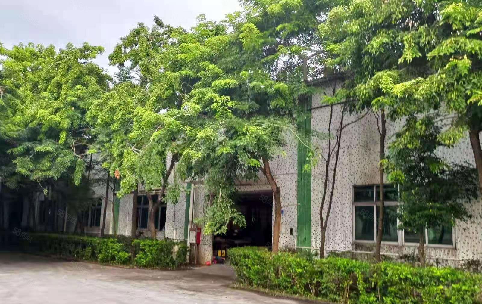 横沥镇水边工业区东部快速路口出租单一层独院厂房，工业用地，