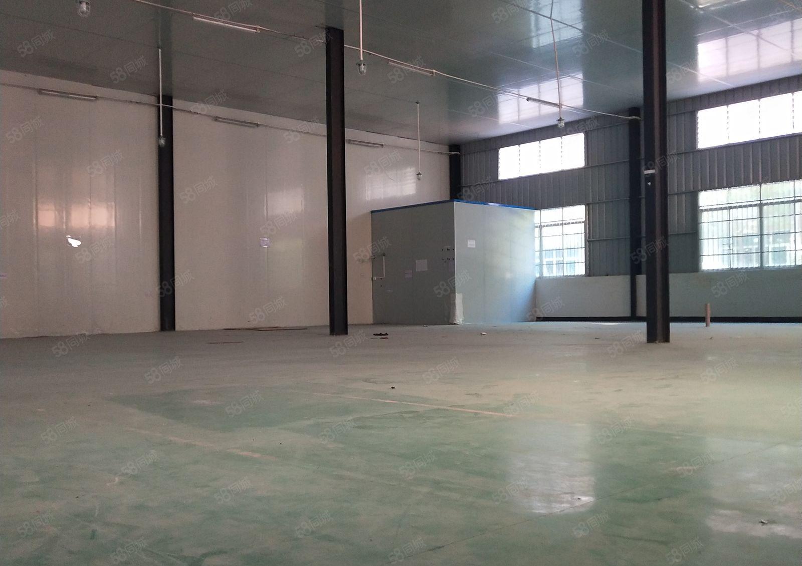 独院厂房出租钢构600平1000平 形象好