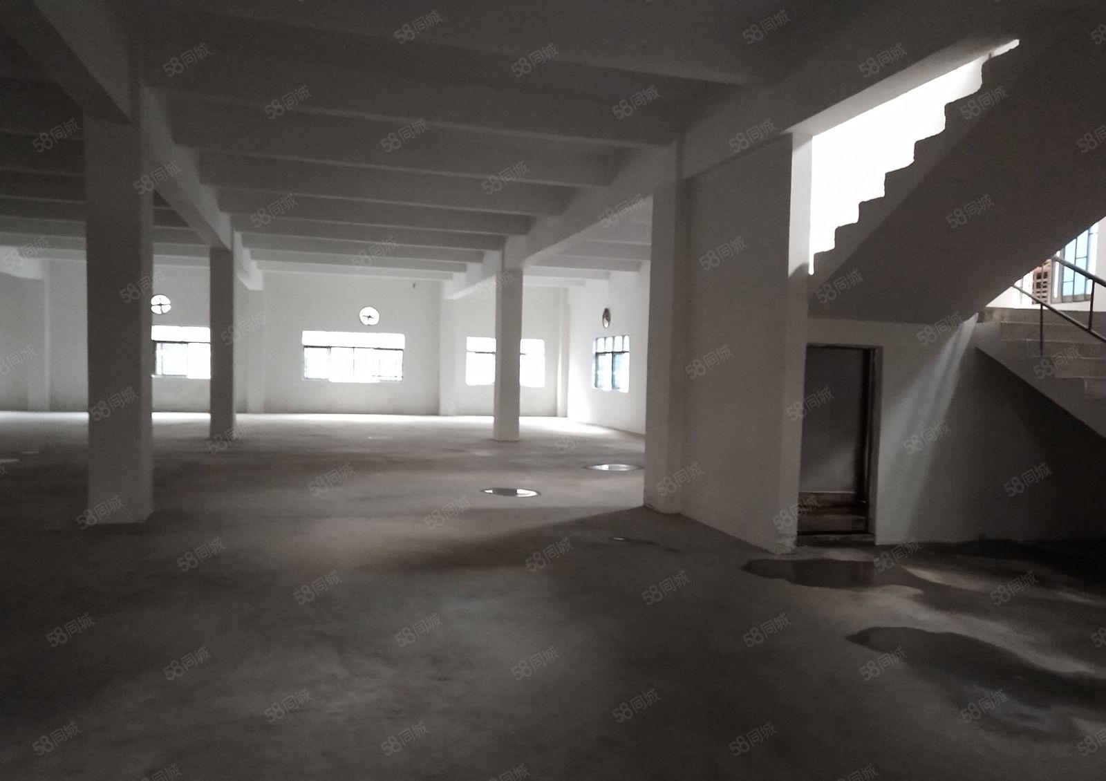 横沥镇东部快速路旁新出原房东独院钢构厂房4000平可办环评